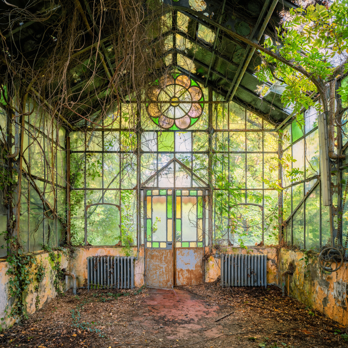 Abandoned greenhouse in Italy photographed by Gina Soden